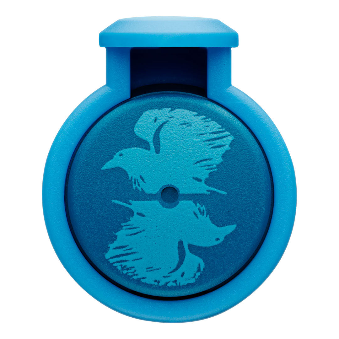 0H8 LAMY nexx Harry Potter Fountain Pen Ravenclaw