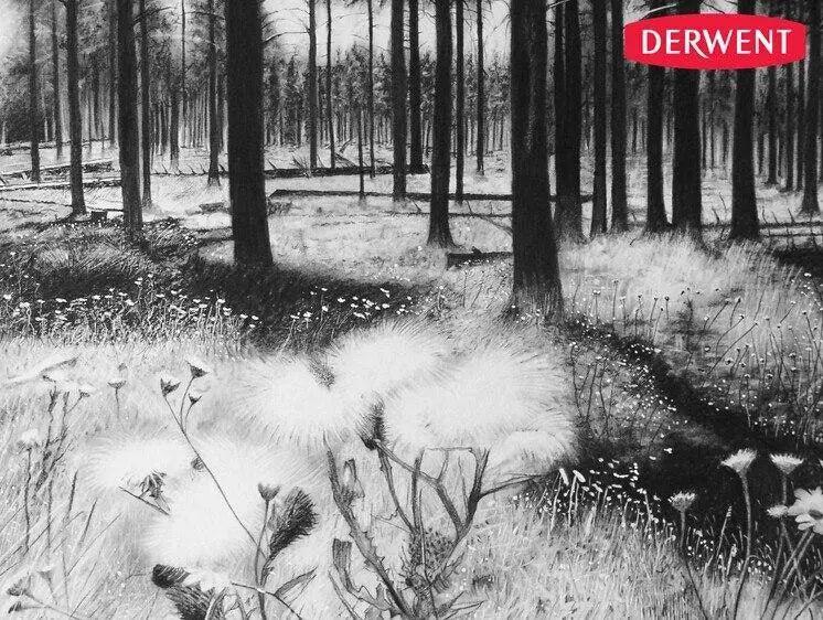 Derwent Sketching Pencils HB - 2B - 4B