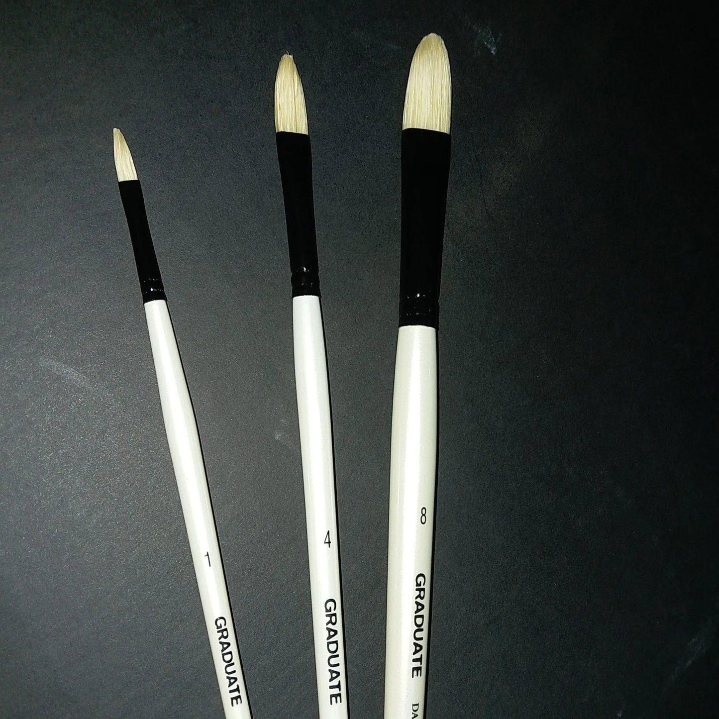 Daler Rowney Graduate Filbert Tip Brushes Bristle Hairs – Long Handle