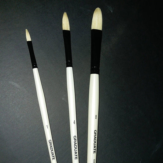 Daler Rowney Graduate Filbert Tip Brushes Bristle Hairs – Long Handle
