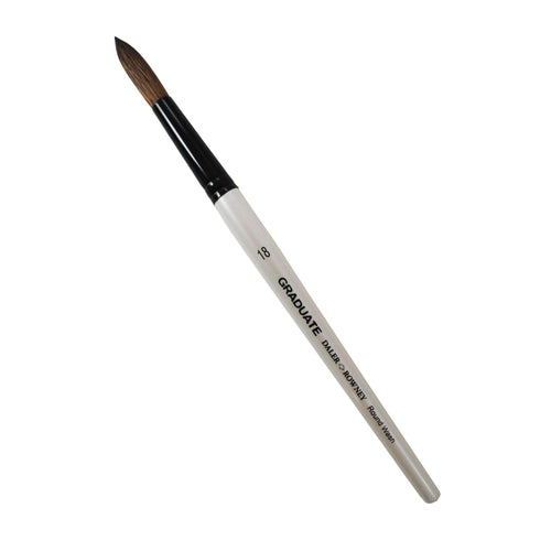 Daler Rowney Graduate Round Tip Brushes In Large Sizes No.18