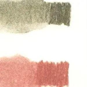 Derwent Tinted Charcoal Drawing Pencils Set of 12/24
