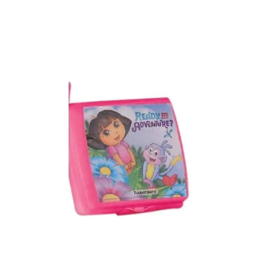 Dora School Lunch box