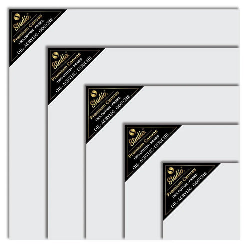 Studio Premium Canvas for Professionals